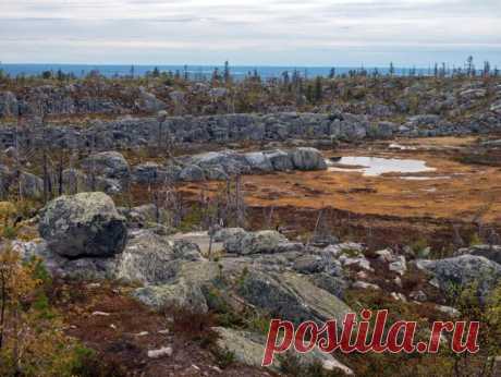 Загадочная гора Воттоваара в Карелии (15 фото) Гора Воттоваара в Муезерском районе Карелии. Популярное среди туристов место, которое обросло слухами и небылицами больше остальных. Кто-то видел здесь