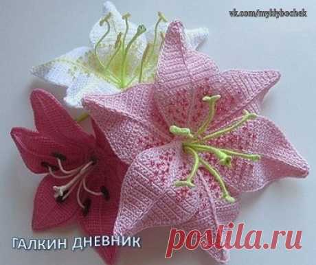 Лилии крючком
#вязание #крючком

Из остатков пряжи, можно связать не только коврик, но и такие красивые цветы, как эти лилии.

Показать полностью…