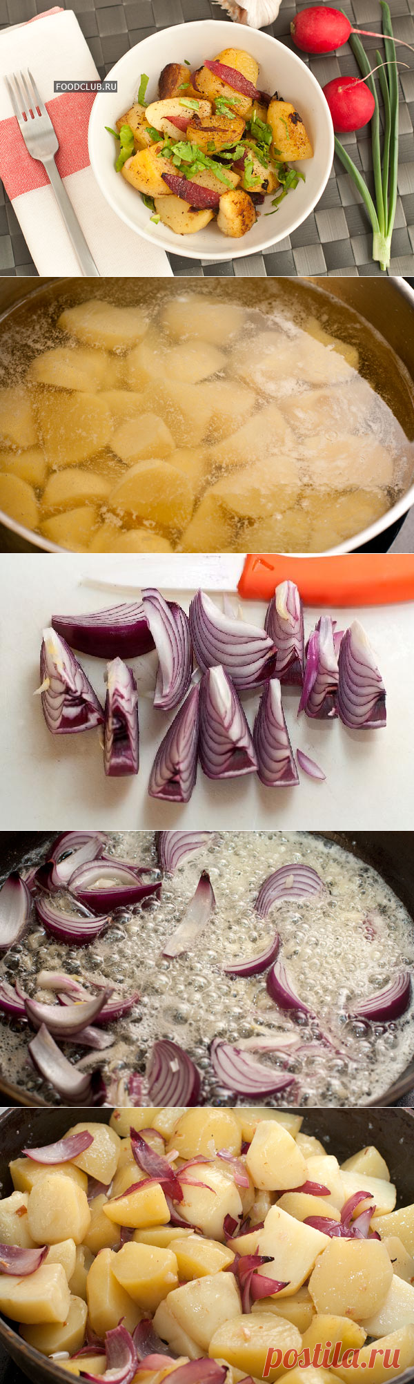 Жареный картофель с красным луком — рецепт с пошаговыми фотографиями на Foodclub.ru