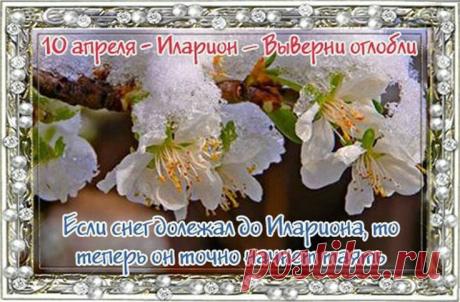 Пусть 10 апреля принесет только добрые сны! Желаю, чтобы в сердце цвели первые цветы, а в доме всегда было уютно и светло! Открытки на  Иларион-выверни оглобли!