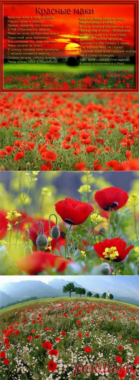 Посмотри, как мир вокруг прекрасен!.