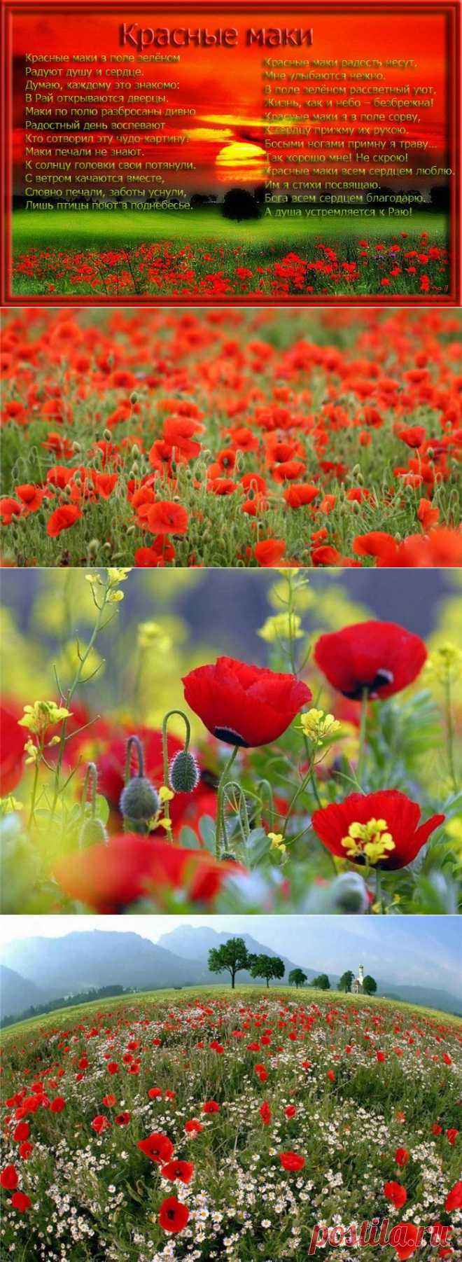 Посмотри, как мир вокруг прекрасен!.