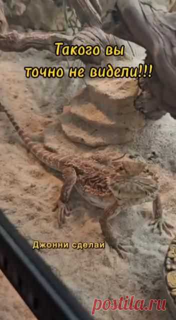 Семья и дети 👨‍👩‍👧‍👦