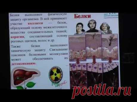 Рациональное питание при снижении веса. Поляков А.