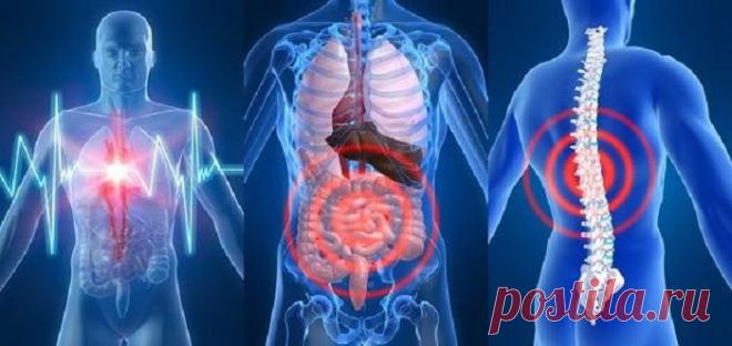 Наш организм и его сигналы. 
Врачи уверены, что в нашем организме «вдруг» ничего не бывает. И даже малейшие изменения в нашей внешности утром говорят о том, что со здоровьем что-то пошло не так… Мало кто из нас подвергается регу…