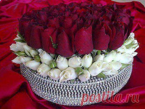 Для Тебя!

Жми Класс чтоб и ваши друзья увидели эти красивые цветы!