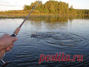 Медленно тонущая наживка