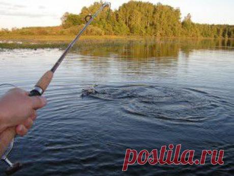 Медленно тонущая наживка