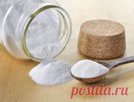 Как защитить растения от болезней и вредителей с помощью пищевой соды | Болезни и вредители (Огород.ru)