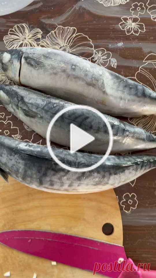 victorchekurda в TikTok Короткие видео от victorchekurda с ♬ оригинальный звук