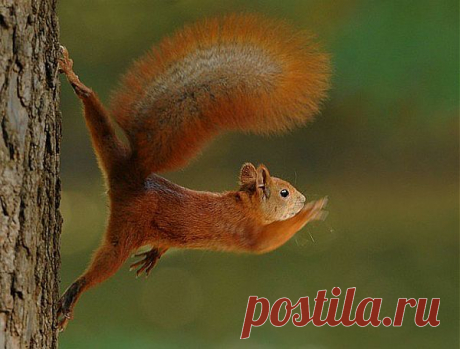 Мой Мир@Mail.Ru