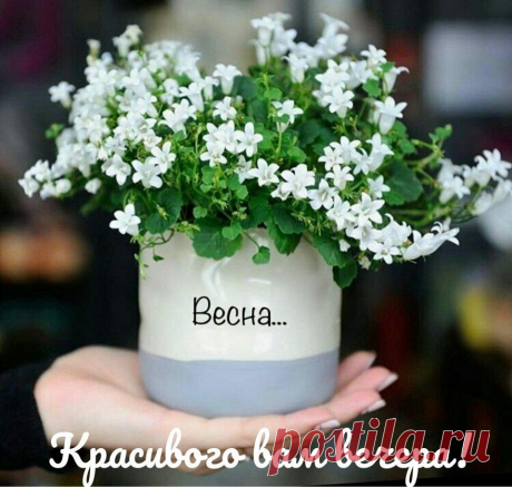 (1) Зина Таирова