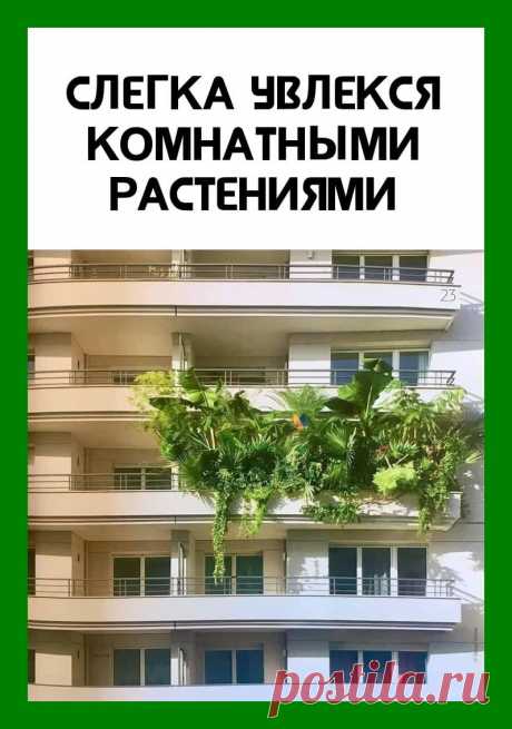 Веселые истории о нас № 267 - Ветер Вольный — КОНТ