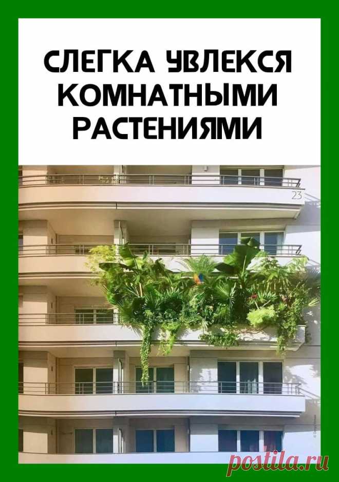 Веселые истории о нас № 267 - Ветер Вольный — КОНТ