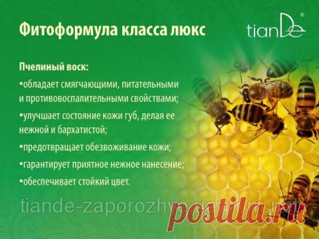Купить Губную помаду Natura Lux, 3,8г Запорожье и Украине от компании &quot;ТианДе&quot;