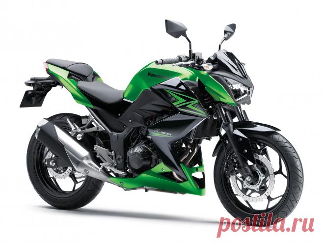 Z300 2015г. - Кавасаки Рус-Моторс