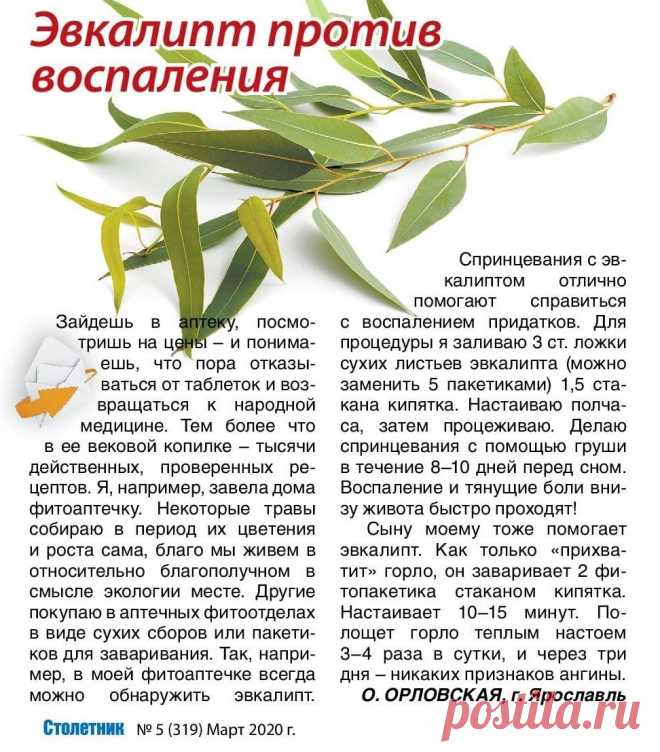 Эвкалипт против воспаления