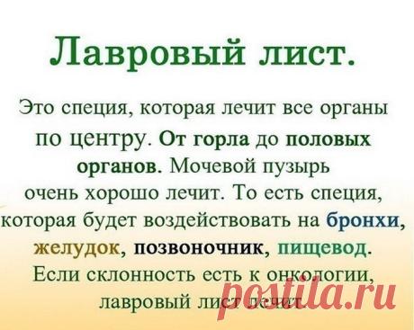 (2) Одноклассники ЛАВРОВЫЙ ЛИСТ В ПОМОЩЬ