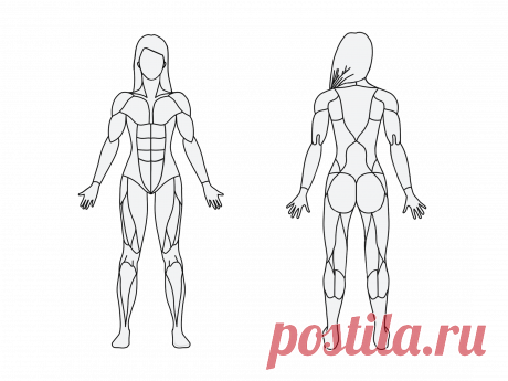 MuscleWiki
