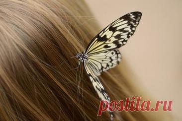 Лучшие маски для волос | Эффективное похудение. Все виды диет