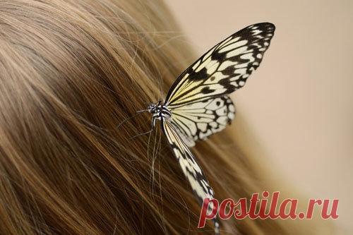 Лучшие маски для волос | Эффективное похудение. Все виды диет