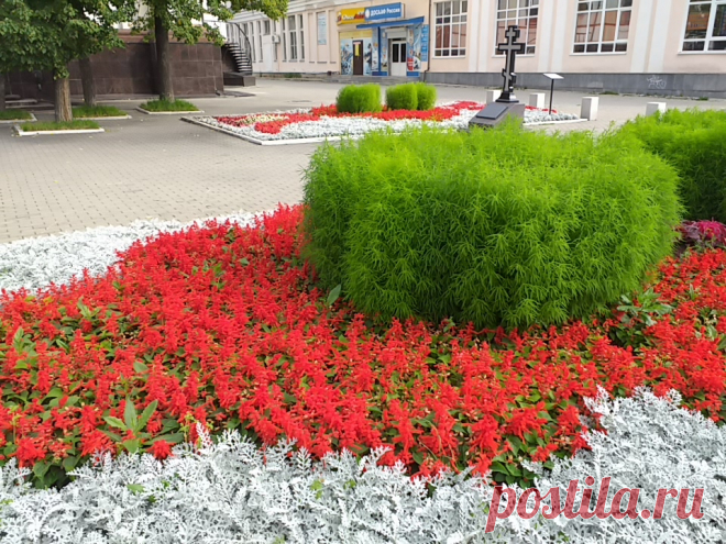 Цветник у Храма Иоанна Златоуста