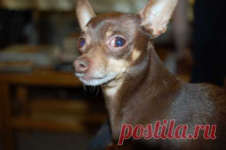 Ну ведь правда я прекрасен?