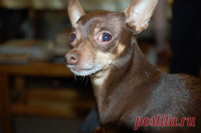 Ну ведь правда я прекрасен?