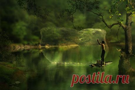 catch them all...:), автор — iD's .Фото 127140177 - 500px