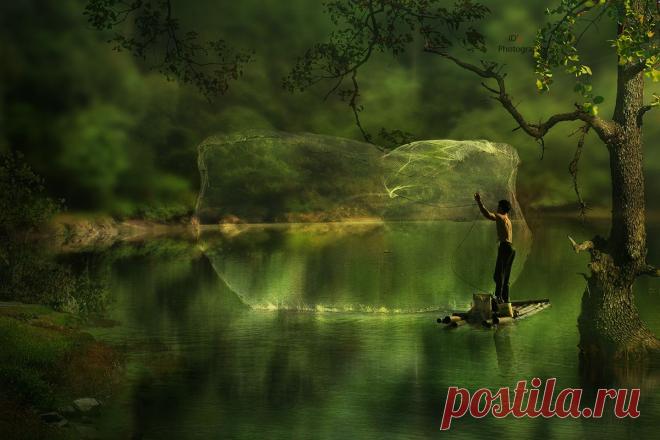 catch them all...:), автор — iD's .Фото 127140177 - 500px