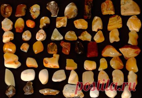 Свойства и виды янтаря / Все для женщины