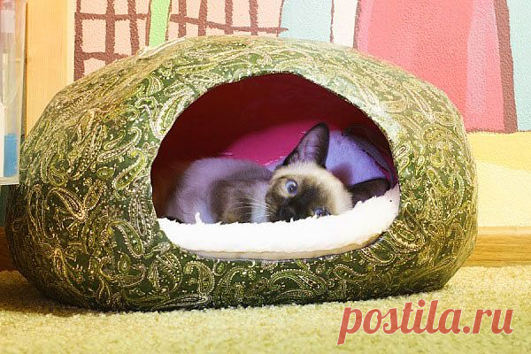 Как сделать домик для своей кошки своими руками!.