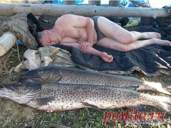 Нарыбачился, бедняга!!
