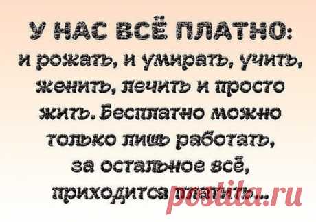 Горькая правда..