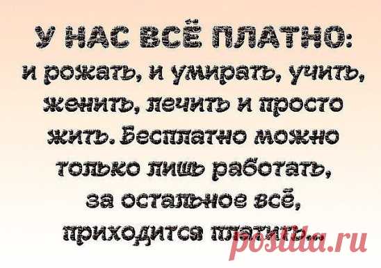 Горькая правда..