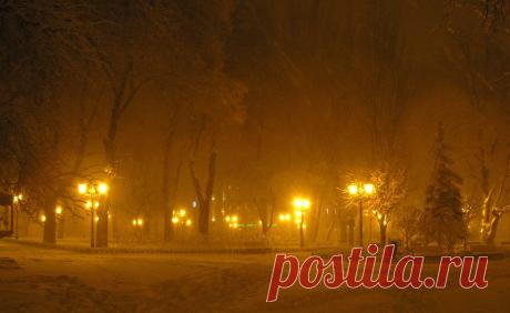 Зима, Одесса. Горсад. Мои фото