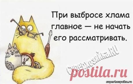 Я – Cуперхозяйка! Система FlayLady (флайледи): как навести порядок в доме - правила уборки в доме