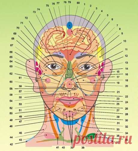 ДИАГНОСТИКА ЧЕЛОВЕКА ПО ВНЕШНЕМУ ВИДУ | ПРОСТО ЗДОРОВЬЕ