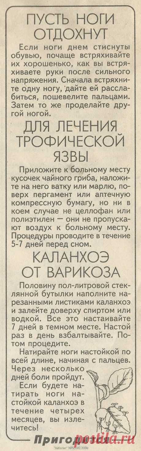Варикоз. Трофические язвы