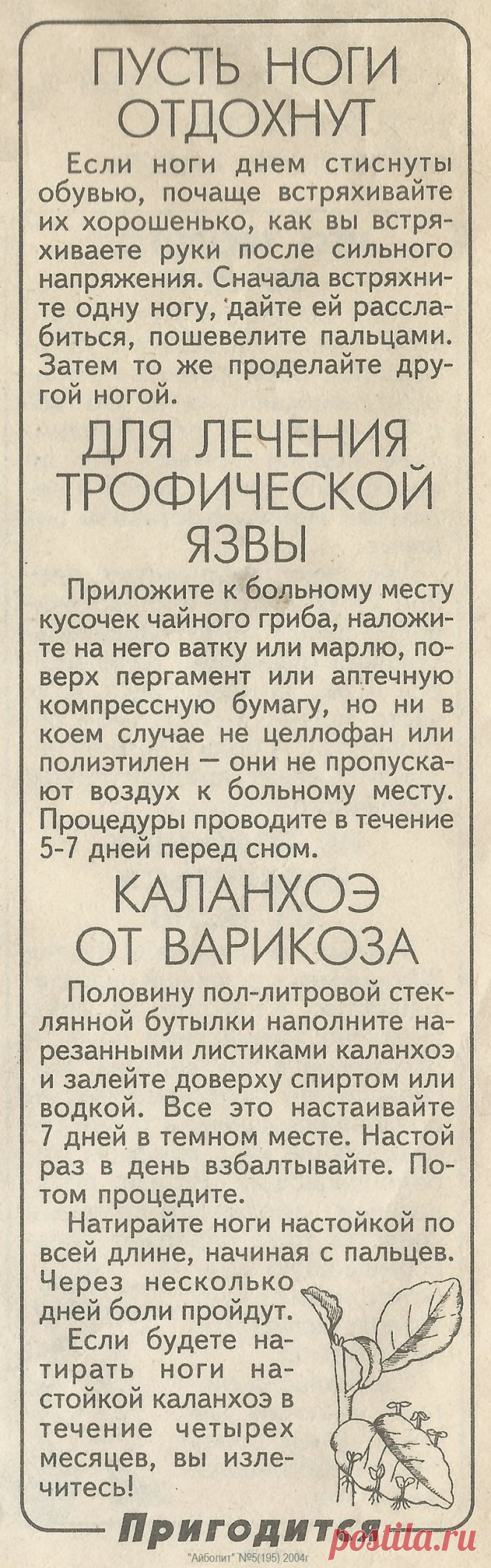 Варикоз. Трофические язвы