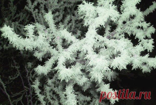 7 способов сделать искусственный снег в домашних условиях | 33 Поделки | Яндекс Дзен