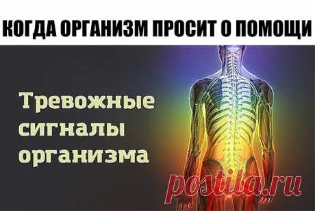 (11) Одноклассники