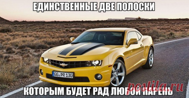 Картинки позитивные и не очень =) . Чёрт побери