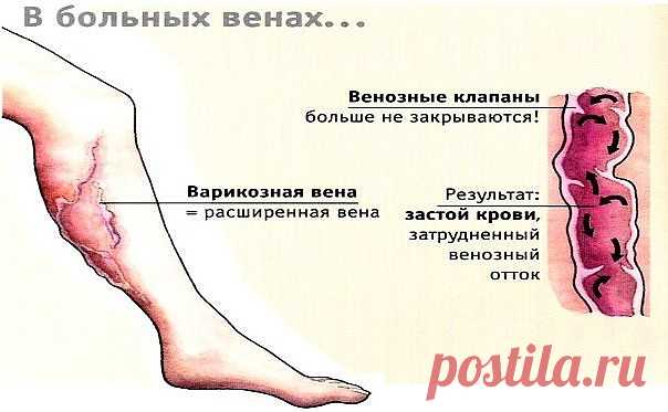 Одноклассники