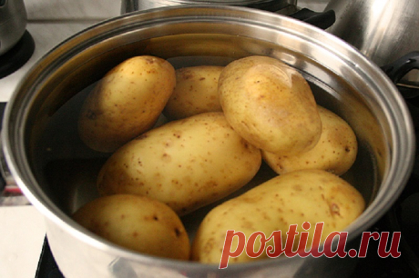 Закуска из селедки
