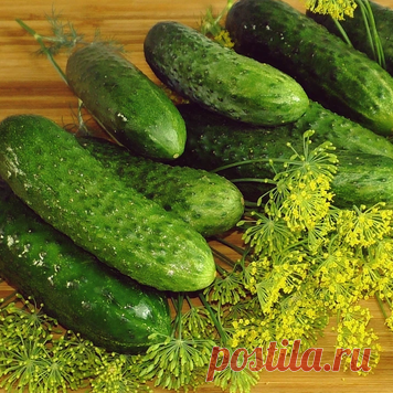 Закуска из огурцов которая готовится легко и просто. Рецепт не займёт у Вас… | Красилова Наталья / Food | Яндекс Дзен