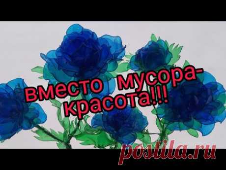 ШИКАРНЫЙ КУСТ РОЗ для подарка! A CHIC ROSE  for a gift!