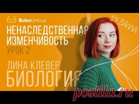Ненаследственная изменчивость | БИОЛОГИЯ ЕГЭ | Лина Клевер