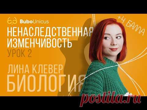 Ненаследственная изменчивость | БИОЛОГИЯ ЕГЭ | Лина Клевер
