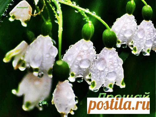 Анимированная (gif) Открытка - Прощай весна!